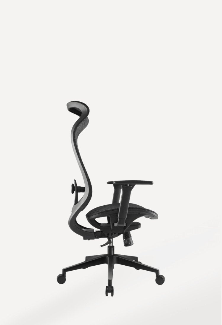 Ergonomic Chairs - Ark Ergonomics